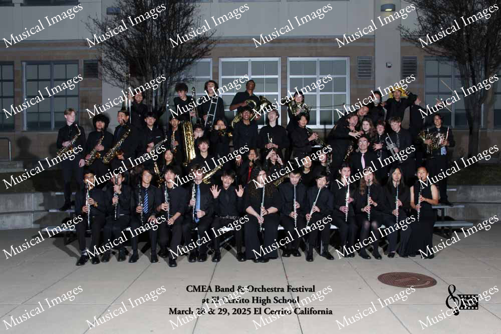 Musical Images